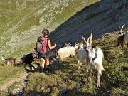 33 Lasciamo le caprette e proseguiamo...